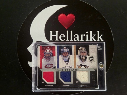 2007 roy fleury luongo 15 - 2007-08,