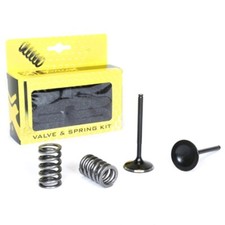 NEW PROX Valve intake /