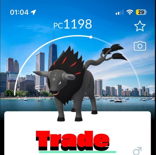 Pkmn tauros paldean - -,