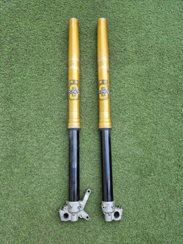 Ohlins forcelle anteriori - forcelle,
