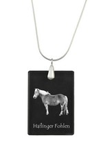 Haflinger puledri cristallo - puledri,