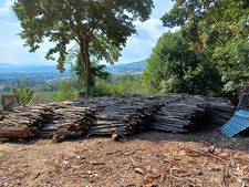 legna da ardere secca di