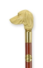 Bastone da passeggio cane