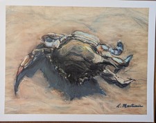 Stampa granchio pastello 8 1/2" x 11"