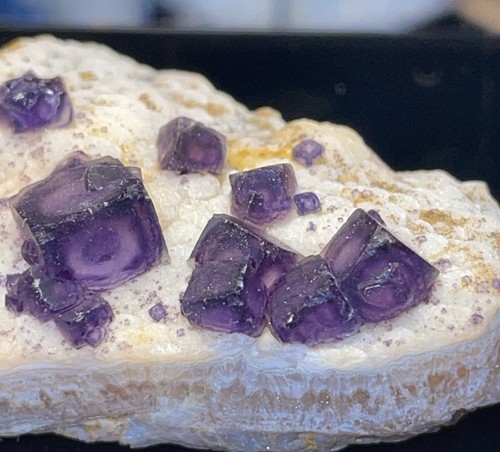 Splendida fluorite viola - fluorite,