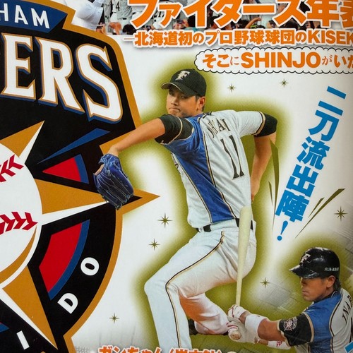 2014 hokkaido nippon ham - 2014, nippon-ham