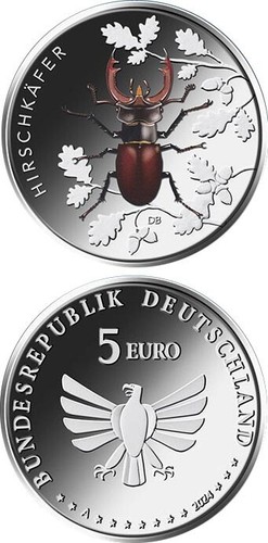 Euro 2024 cervo - 5,