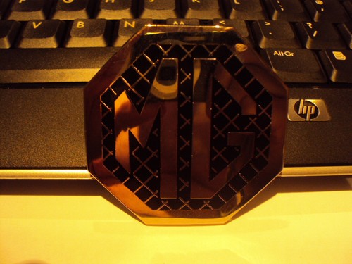 Distintivo griglia - distintivo, mg