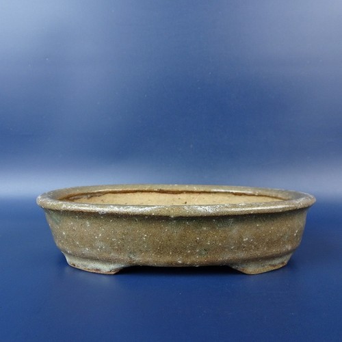 Vaso per bonsai giapponese