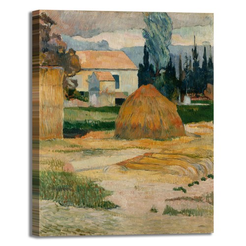 Gauguin paesaggio arles design - arles,