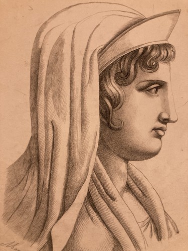 Bella disegno matita ritratto - disegno,