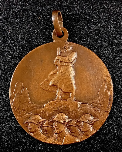 Medaglia adunata alpini - adunata,