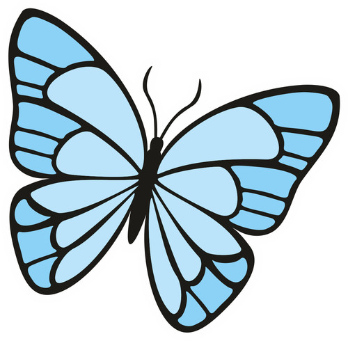Adesivi auto sticker - adesivi,