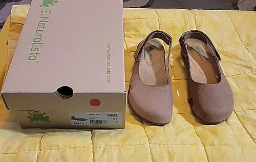 Scolorato el naturalista - *scolorato*,