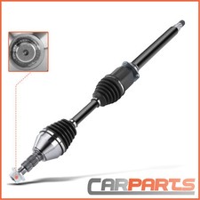 Ingranaggio albero motore