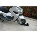 Maxi catena antifurto - maxi, con