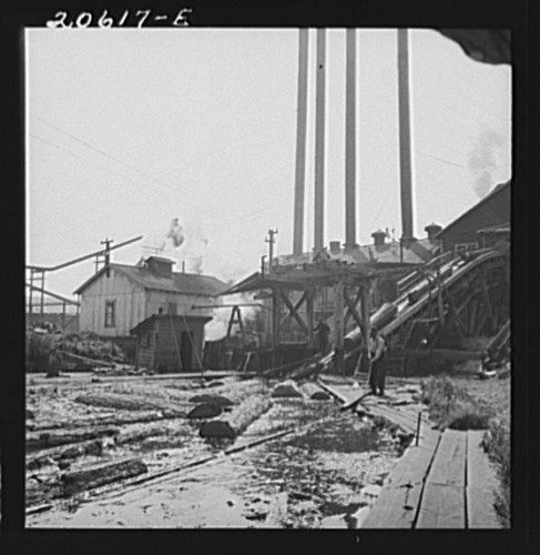 Pelican lumber company - pelican,