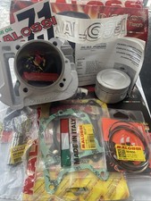 GRUPPO TERMICO MALOSSI