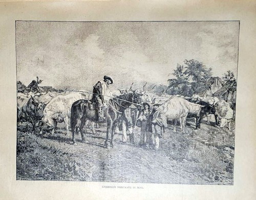 1884 stampa antica garibaldi - 1884,