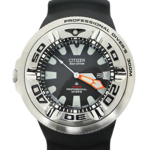 Citizen professional diver - citizen,