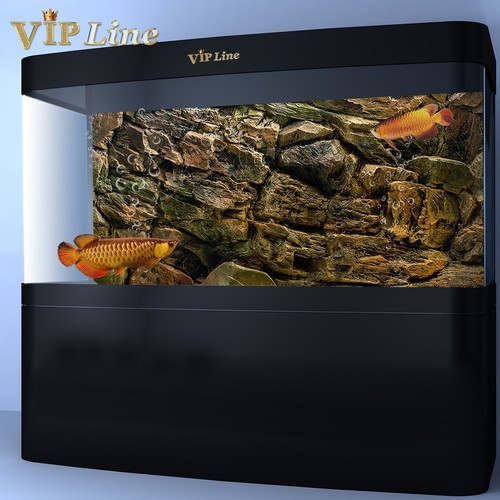 Poster sfondo acquario parete