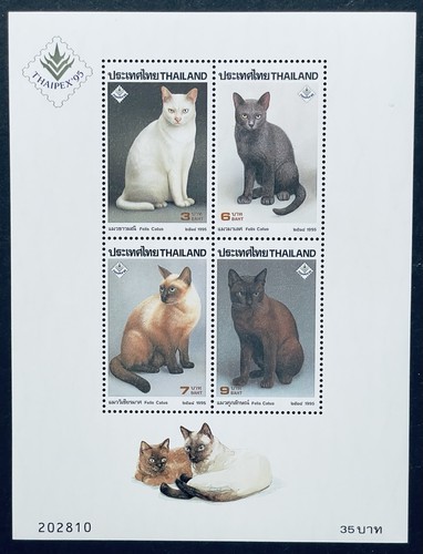Francobolli gatti thailandia - francobolli,