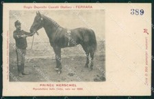 Ferrara città Militari