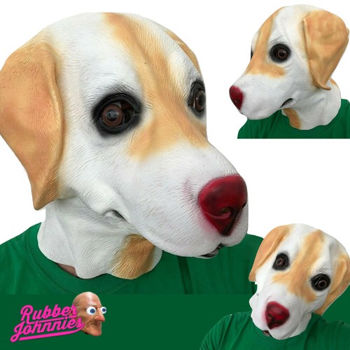 Oro cane labrador maschera - d'oro,