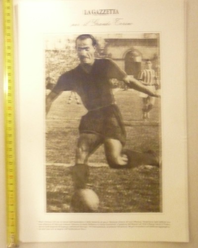 Grande - il,