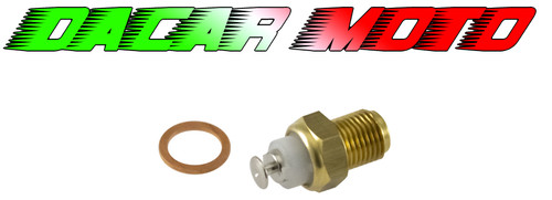 Termistore olio motore - termistore,