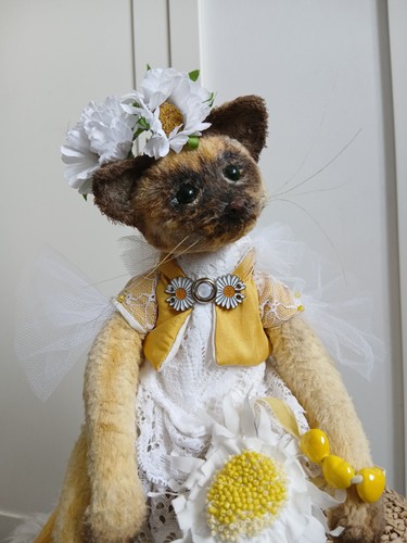 Teddy cat camomilla - teddy, di