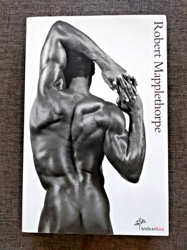 Germano celant robert - -,