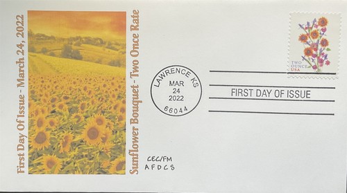 Afdcs 5682 bouquet - afdcs, girasole