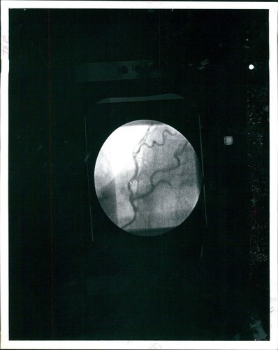 1981 foto maggiore - 1981,