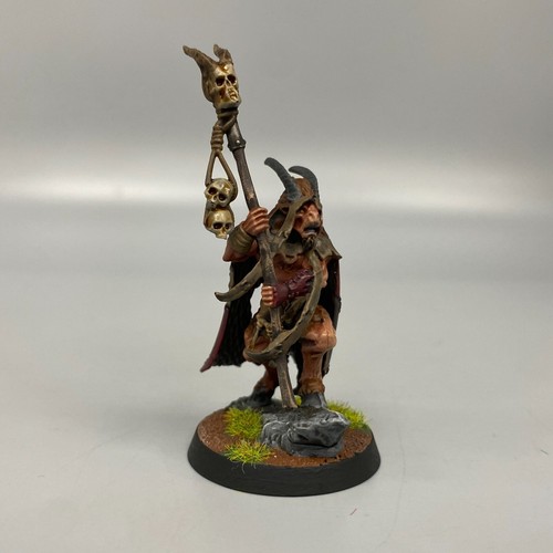 Ottima bray shaman animali - bray,