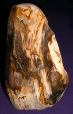 Legno Pietrificato Mirto