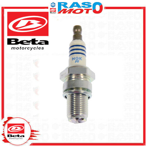 Beta candela ngk br9 ecmvx - beta,