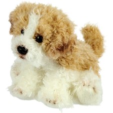 Suki 12177 maltipoo - suki, cm