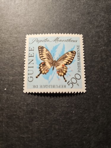 Timbro guinea fauna farfalle - timbro,
