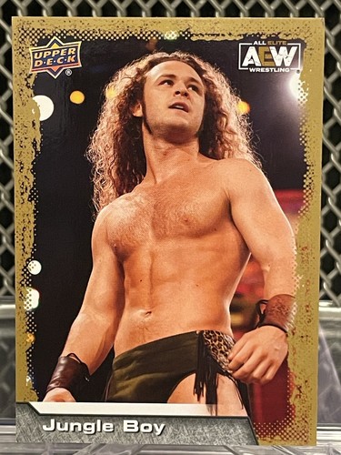 2022 upper deck aew jungle - upper, boy
