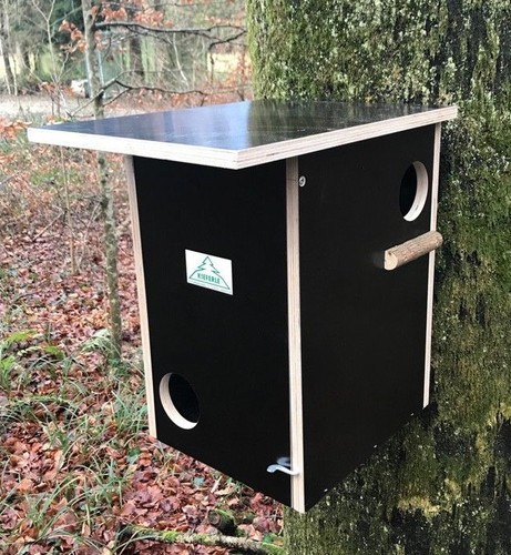 Scoiattolo vie kobel casa - scoiattolo,