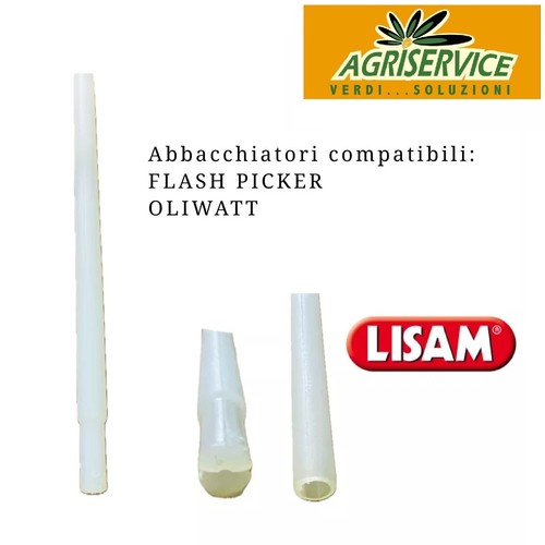 Astine ricambio lisam - 5,