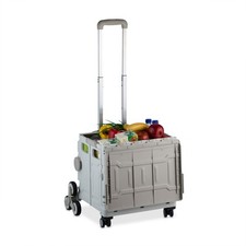 Carrellino Spesa Cestino Trolley Ruote Carrello Portaspesa Pieghevole max. 50 kg