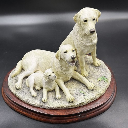 Border fine arts labrador dog - labrador,