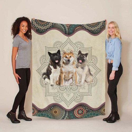 Divertente akita inu - akita,