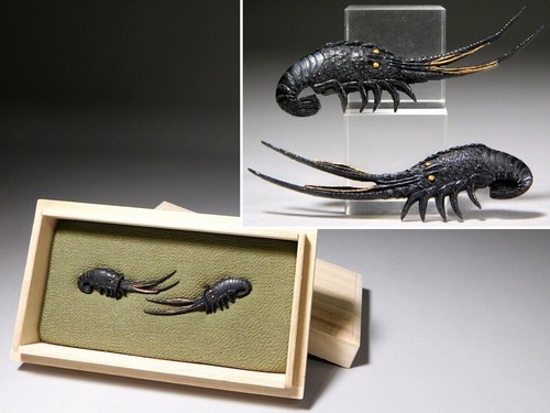 Ebi shrimp design - shrimp,