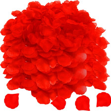5000 Petali Di Rosa Rossi