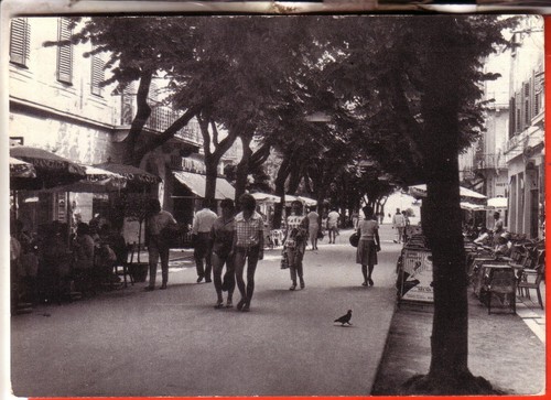 Cartolina grado b n - , b/n