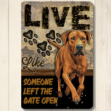 Rhodesian Ridgeback Live Like