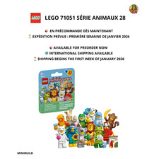 Lego Minifigures 71051 Série